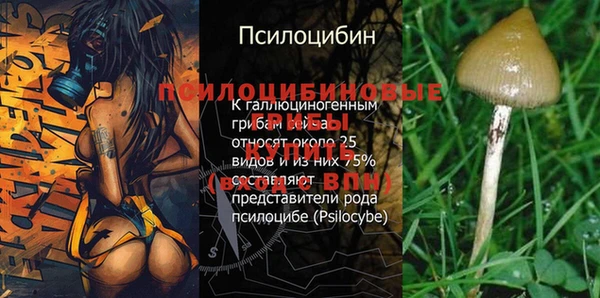 кокс Аркадак
