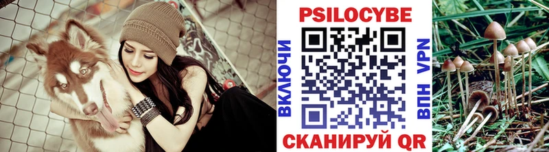 Галлюциногенные грибы прущие грибы  наркотики  Новодвинск 